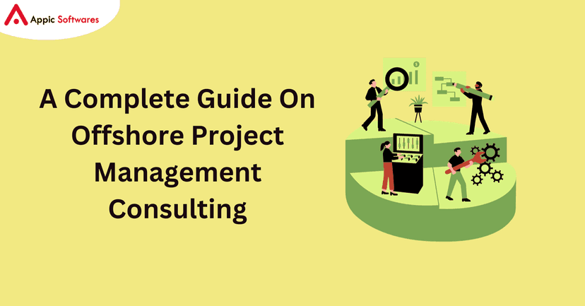 offshore project development consulting