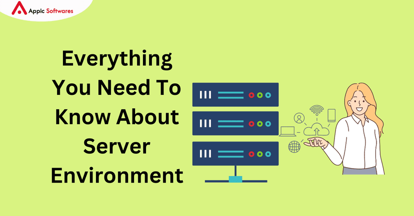Server Environment | Appic Softwares