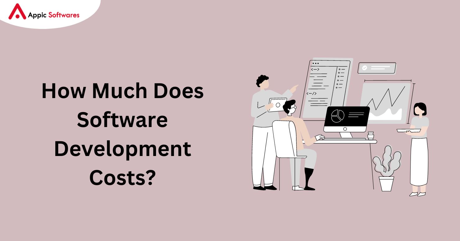 How Much Does Software Development Costs In 2024? 