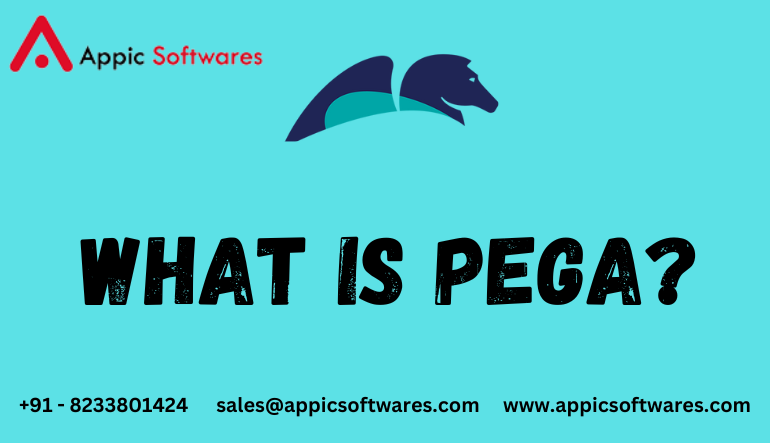 What is Pega?